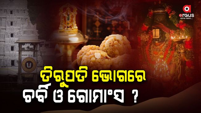 In a shocking revelation, a lab test report findings show beef tallow, fish oil and palm oil were being used to make the laddus