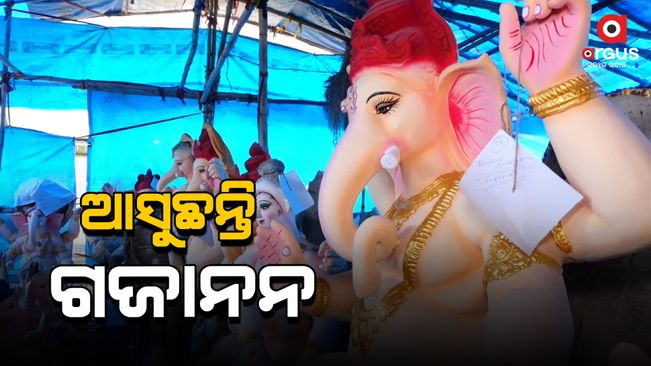 Ganesh Puja is approaching, Puja Bazaar is getting decorated.