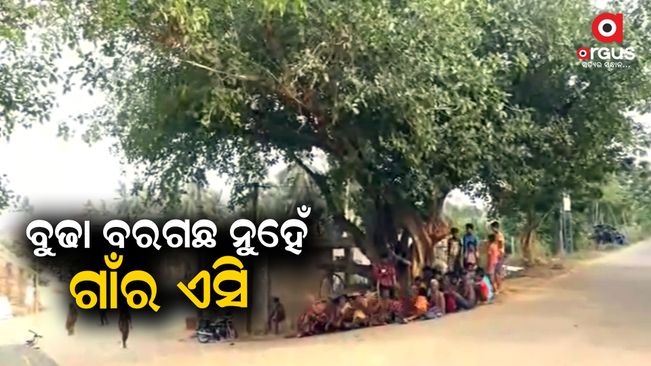 Bir tree has become a support to escape from the Heat wave in Puri