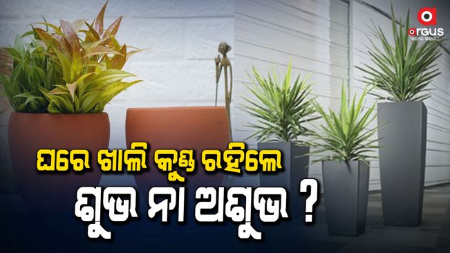 dont-keep-empty-flower-pot-in-this-direction-according-to-vastu-tips