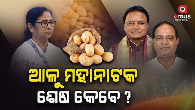 The state government's efforts to overcome the potato crisis, the price of potato is decreasing