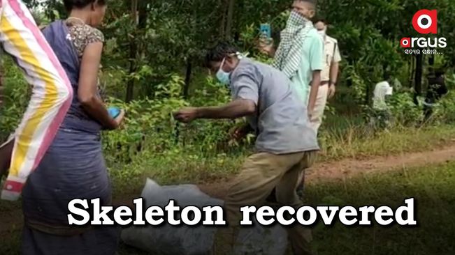 Woman skeleton found in Rayagada jungle