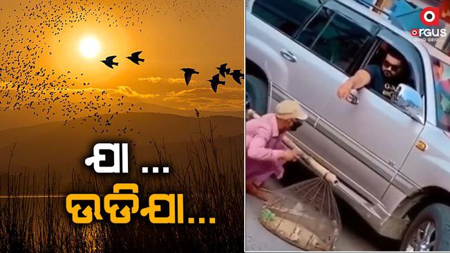 Man Buys Birds Just to Set Them Free, Netizens Laud Him For His Kind Deed