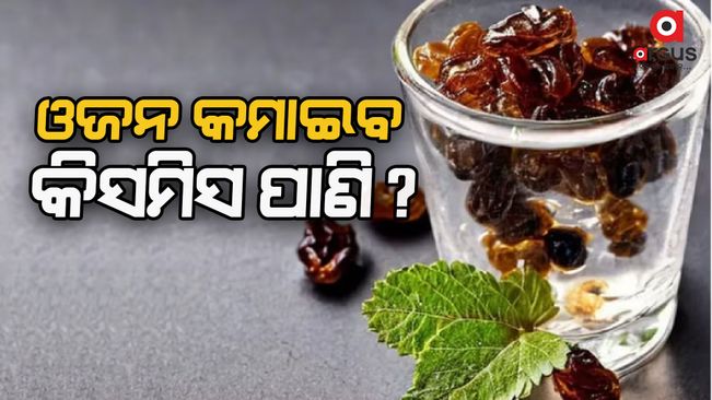 does-drinking-raisin-water-help-in-weight-loss-know-what-are-the-advantages-and-disadvantages-of-drinking-this-dry-fruit-water