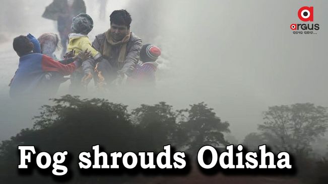 Dense fog envelopes many places in Odisha