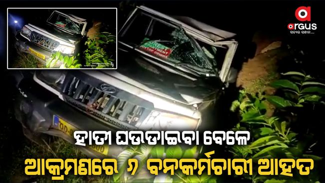 Elephant attack on forester during patroling in balasore