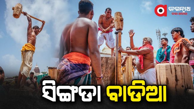 Rath Yatra 2022: Journey of making the chariot of Lord Jagannath | Argus News