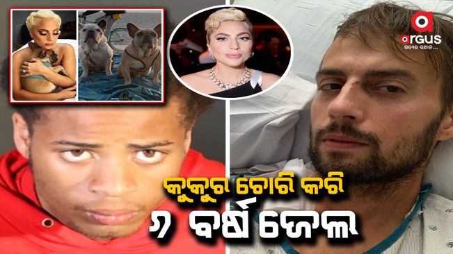 Lady Gaga's Dog Walker Stayed in Singer's House for 'Months' After Horrific Attack