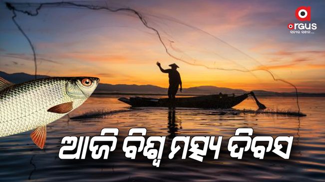 Today  world fisheries day
