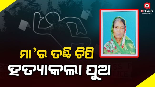 Son murder  his mother for fish fry in simulia