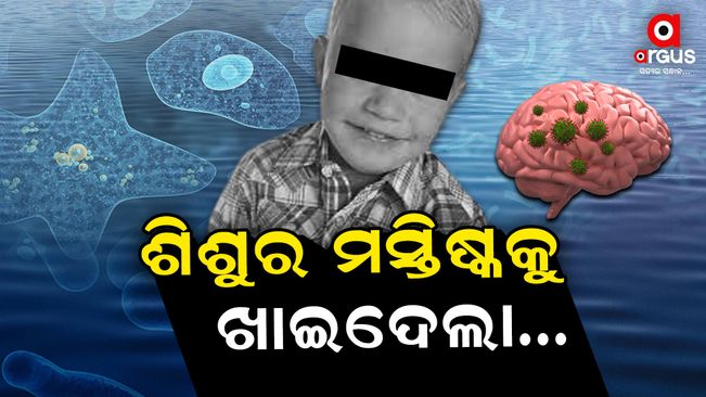 Kerala boy dies due to brain-eating amoeba