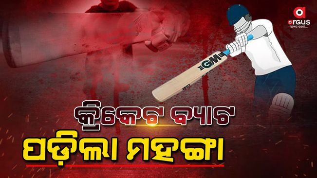 Youth beaten to death by cricket bat, another injured