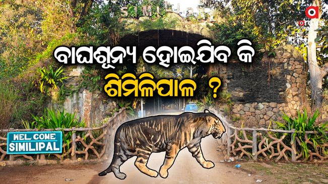 similipal will be deserted?