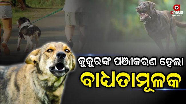 ନିୟମ ଉଲ୍ଲଙ୍ଘନ କଲେ ମୋଟା ଅଙ୍କର ଜରିମାନା