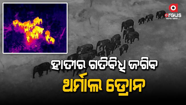 thermal-drone-used-in-champua-range-to-identify-the-movement-of-elephant