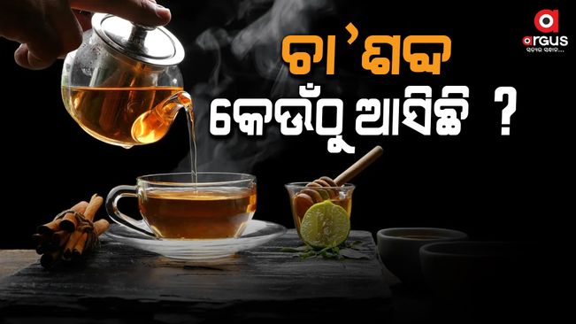 The word chai means "tea" in Hindi, from the Mandarin word for "tea," ch'a.
