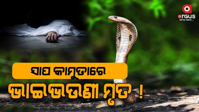 brother and sister dead in snake attack