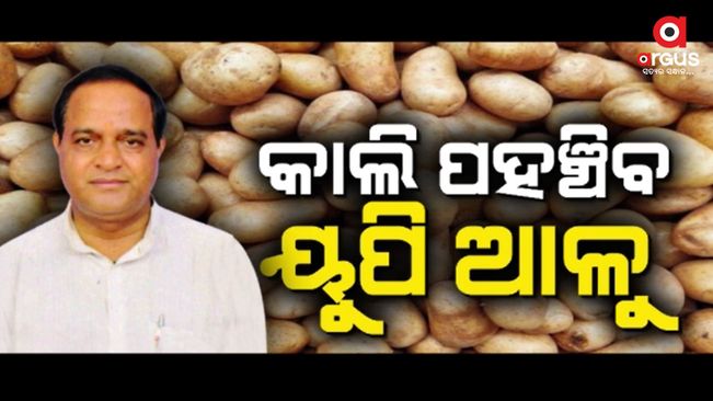 The state government has made arrangements to bring potatoes from UP to avert the crisis