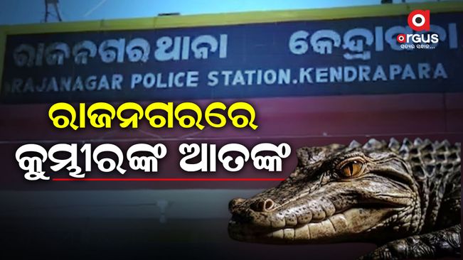 Crocodile terror in Rajnagar