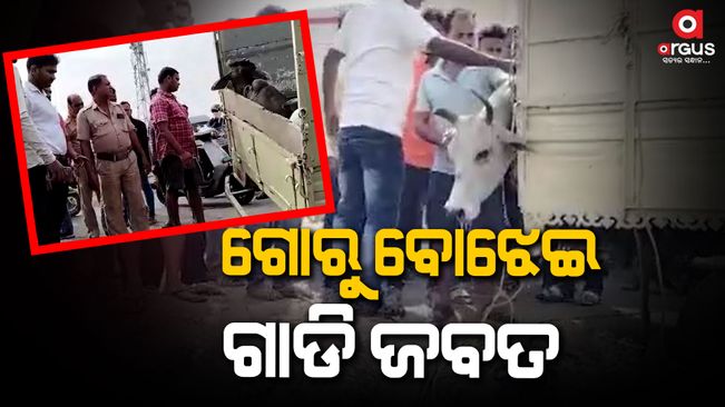 cuttack cow smuggling case