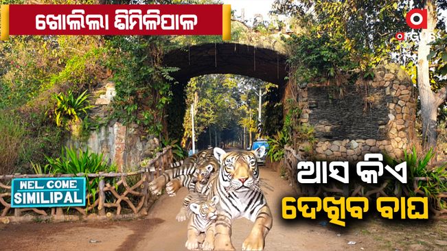 Similipal National Park reopens for tourists from today