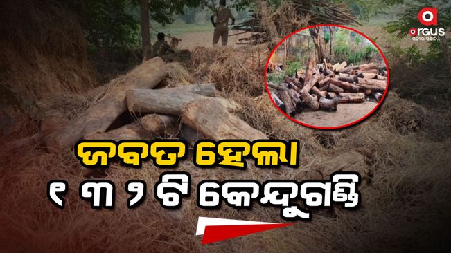 132 kendugandi seized by the forest department in Balangir
