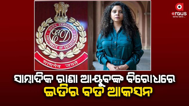 Charges Filed Against Journalist Rana Ayyub Over Alleged Money Laundering
