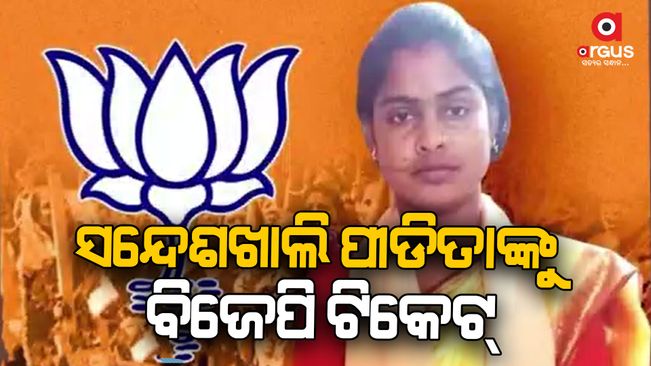BJP fields Sandeshkhali housewife Rekha Patra from Basirhat seat