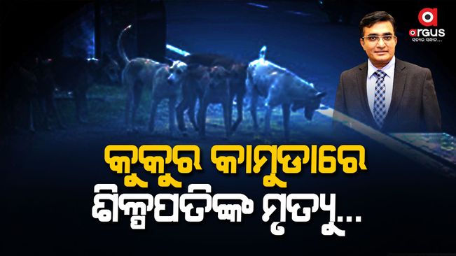 Wagh Bakri scion Parag Desai, 49, dies after attack by street dogs