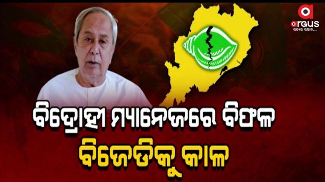 BJd group fighting throughout the state