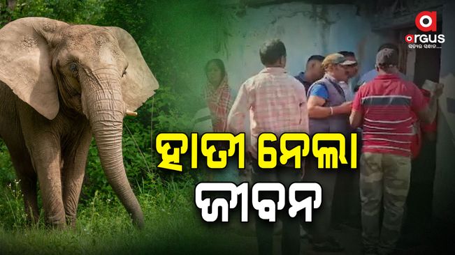 one dead in elephant death in sundargarh