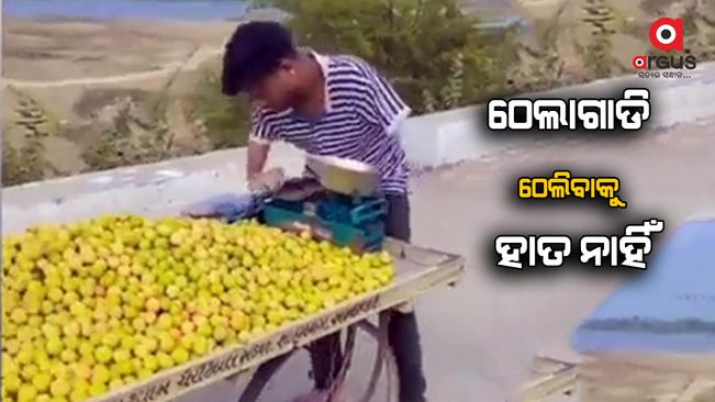 young-man-selling-fruits-in-trolley-without-hand