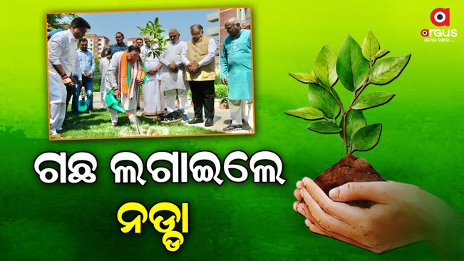 Nadda planted trees at the BJP central office on the occasion of World Environment Day