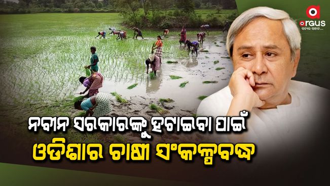 Farmers of Odisha are determined to remove Naveen Govt
