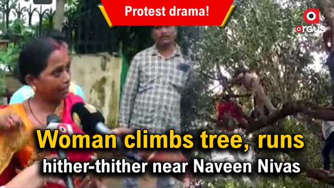 Woman climbs tree near Naveen Nivas to get justice
