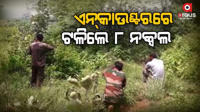 8 Maoists killed in Chhattisgarh encounter