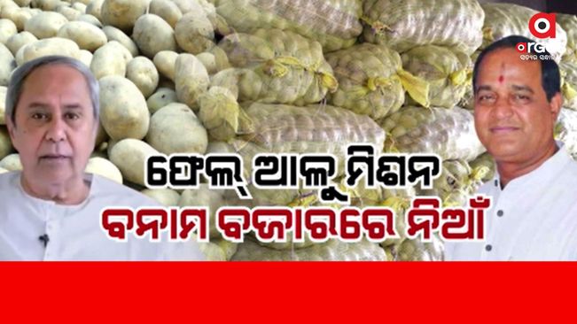 Don't sell potatoes more than Rs 32/kg: Odisha minister tells traders amid price rise