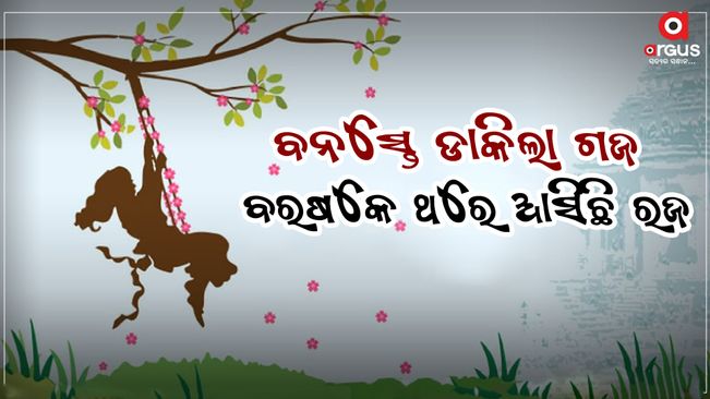 first rajo in odisha today