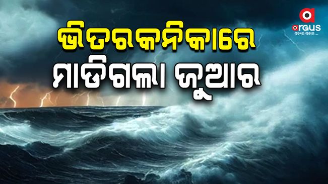 cyclone-dana-impact-wind is blowing at a speed of 100 to 120 km per hour