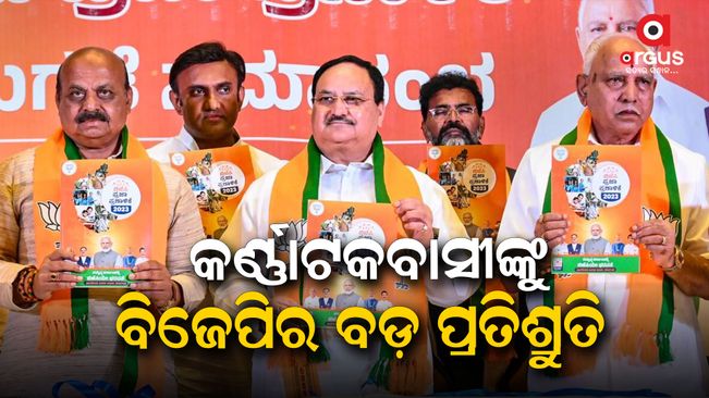 BJP's big promise to the people of Karnataka, free gas cylinders with milk, food