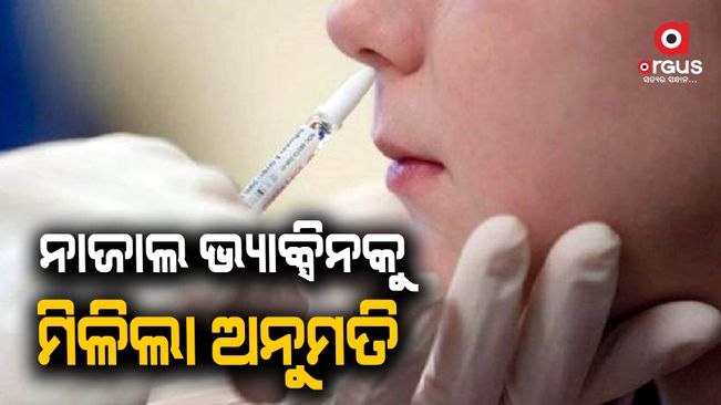 Bharat Biotech's Nasal Vaccine Against Covid-19 Cleared For Use