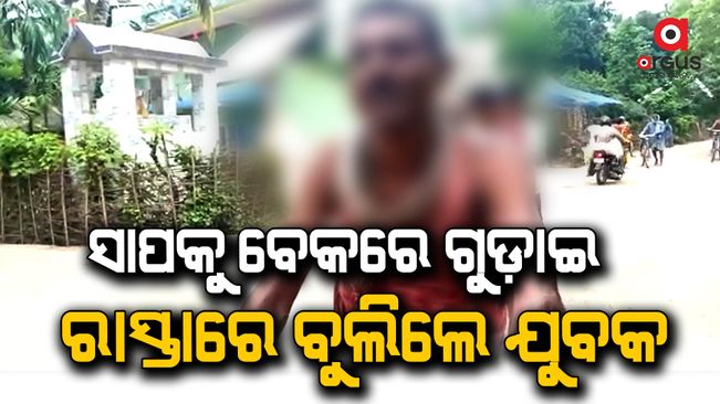 Balasore: The young man wrapped the snake around his neck and wandered on the road