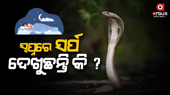 Snake dreams in the month of Shravana, good or bad