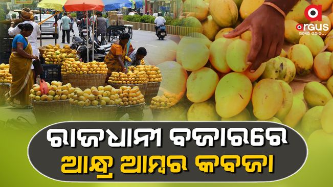 Lack Of Mangoes in the Odisha capital market | Argus News