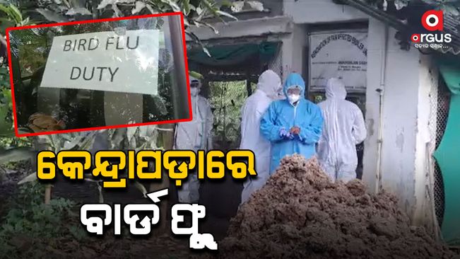 Bird flu, growing concern in Kendrapara