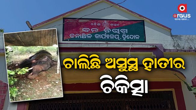 it-has-been-two-days-since-elephant-has-been-sick-in-dhenkanal