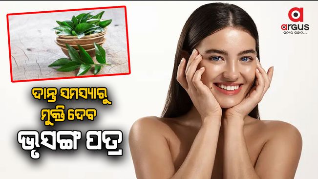 curry-leaves-to-control-diabetes-curry-patta-chabane-ke-fayde-health-benefits