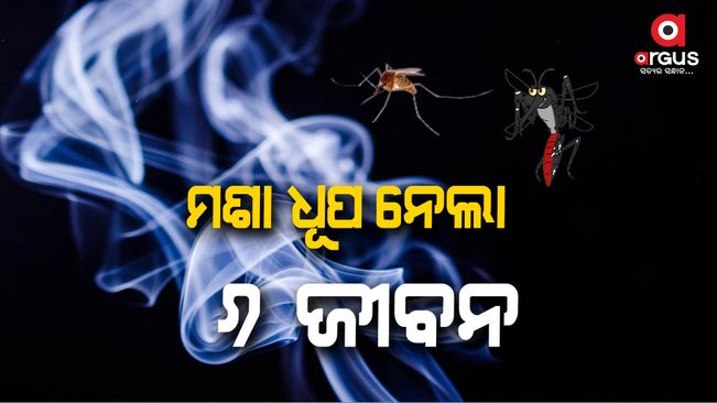 Six Members of A Family Die After Inhaling Mosquito Coil Smoke In Sleep