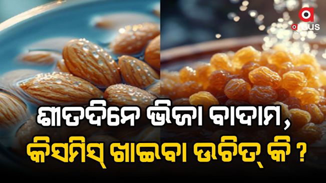 Soaked almonds and kismis are beneficial for the brain