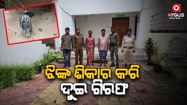 2 more poachers arrested from Similipal.